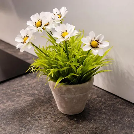 Dolina Baryczy Sciezki I Trasy Rowerowe Apartamento